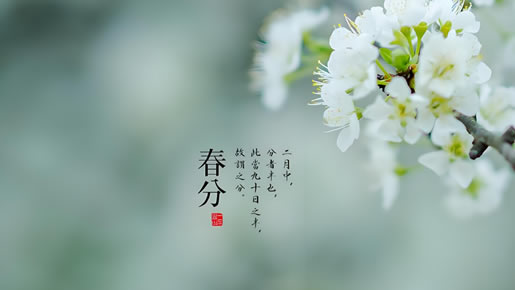 工厂目视化设计九道品牌设计-今天春分，那些你不知道的事情！