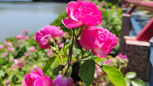 车间参观通道设计九道品牌设计公司-周五上班，快乐启航！