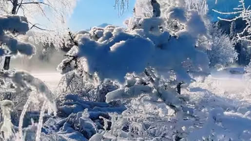 徐州九道品牌设计-十二月：让寒意，成为温暖的序章